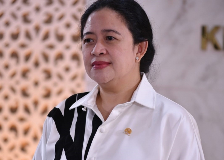 Ketua DPR RI, Dr (H.C) Puan Maharani (dok/Istimewa)