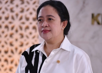 Ketua DPR RI, Dr (H.C) Puan Maharani (Dok/Ist)