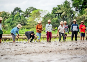 Ketua DPR RI Puan Maharani bersaa Ibu-Ibu Petani menanam padi di Desa Adat Sedang, Abiansamel, Badung, Rabu (28/9/2022). Puan menanam padi jenis Inpari 32 yang menghasilkan 7-9.  per ton beras per hektare-nya.
